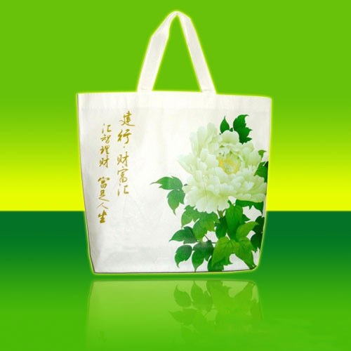 無(wú)紡布環(huán)保袋
