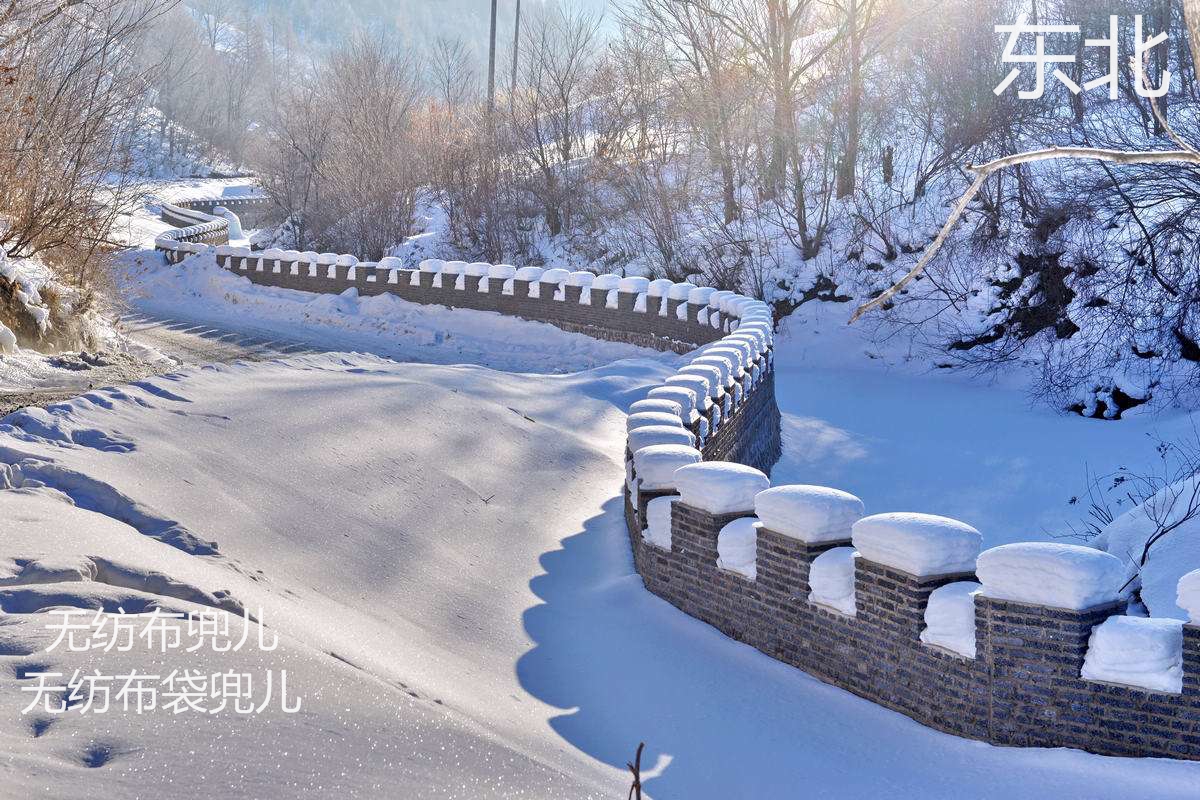 東北的無(wú)紡布袋兜兒